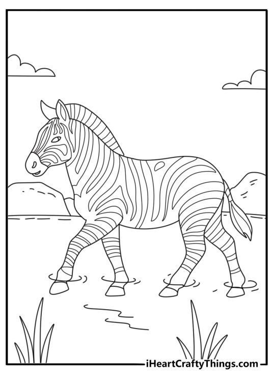 Printable animal page featuring a zebra crossing shallow water