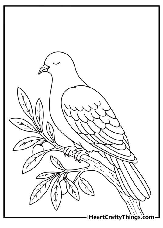 Printable coloring page featuring a dove resting on an olive tree