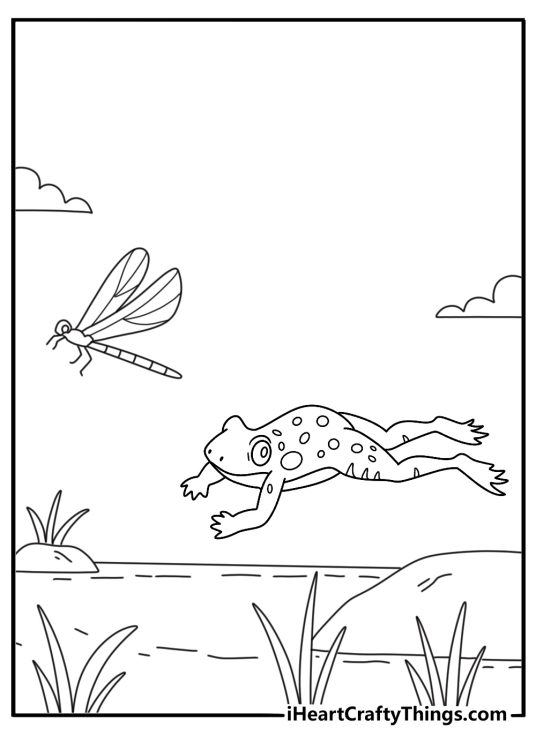 Printable coloring page of a frog chasing dragonflies in the reeds