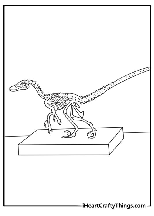 Printable coloring page of a velociraptor skeleton in a museum display