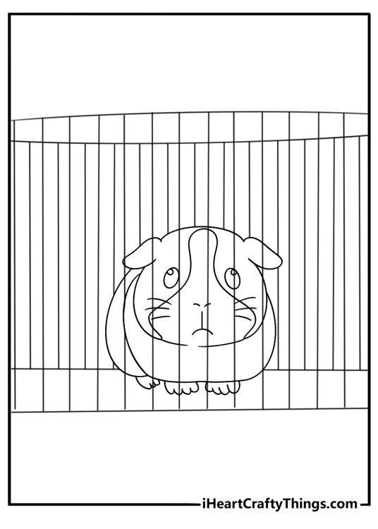 Printable coloring sheet of a guinea pig walking through a playpen