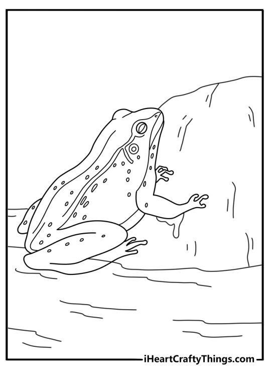 Printable frog coloring page of a frog climbing onto a rock by the water