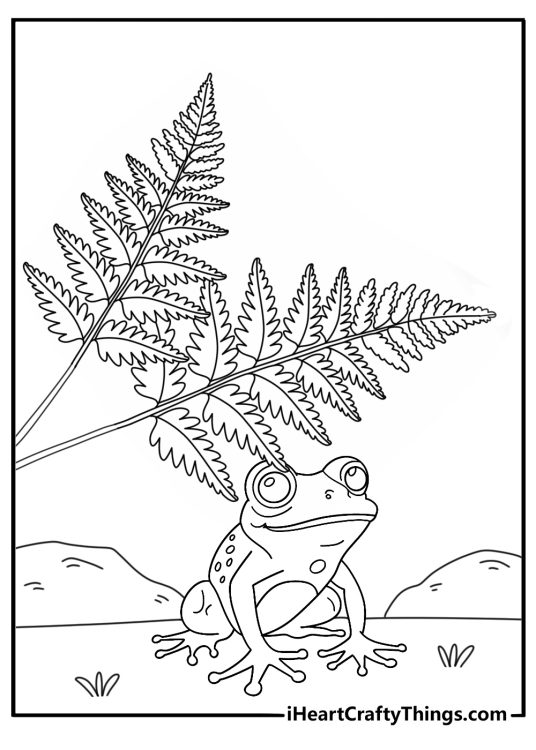 Printable frog coloring page with a frog under fern leaves in the forest