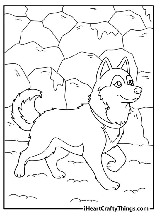 Printable husky coloring page with a puppy exploring a snow tunnel