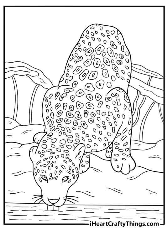 Printable jaguar coloring page showing cat drinking water at forest stream