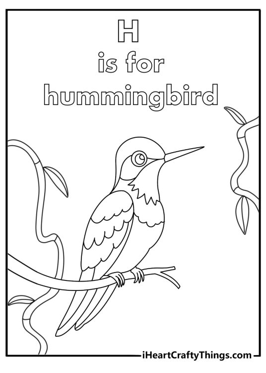 Printable letter H coloring pages for adults with a hummingbird near vines