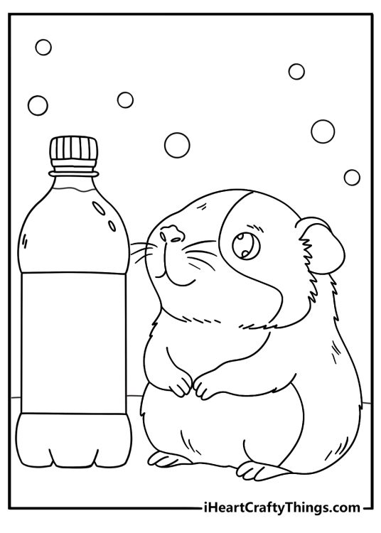 Printable pet coloring page with a guinea pig beside a water bottle