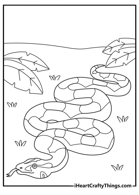 Printable snake coloring page with a boa constrictor beside rainforest leaves