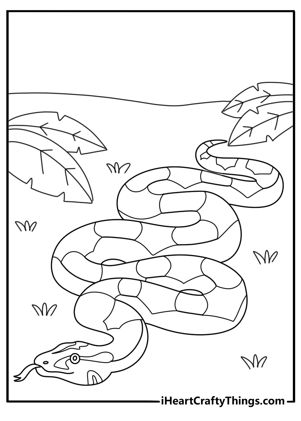 Printable snake coloring page with a boa constrictor beside rainforest leaves