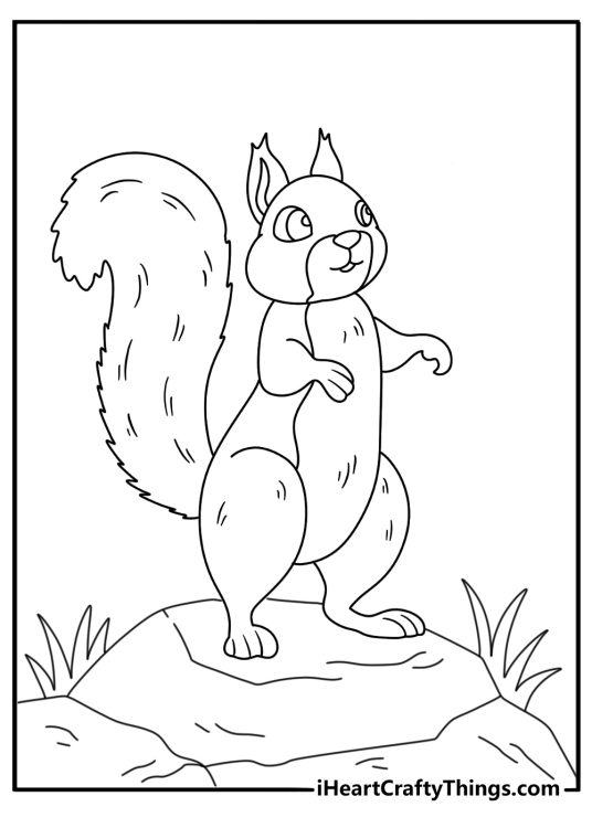 Printable squirrel coloring sheet with a ground squirrel near rocks and grass