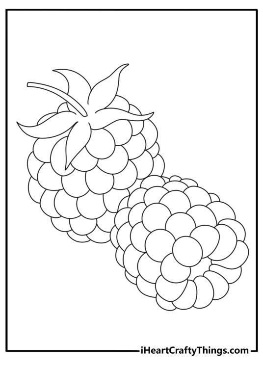 Raspberry with textured surface cute fruit coloring sheet