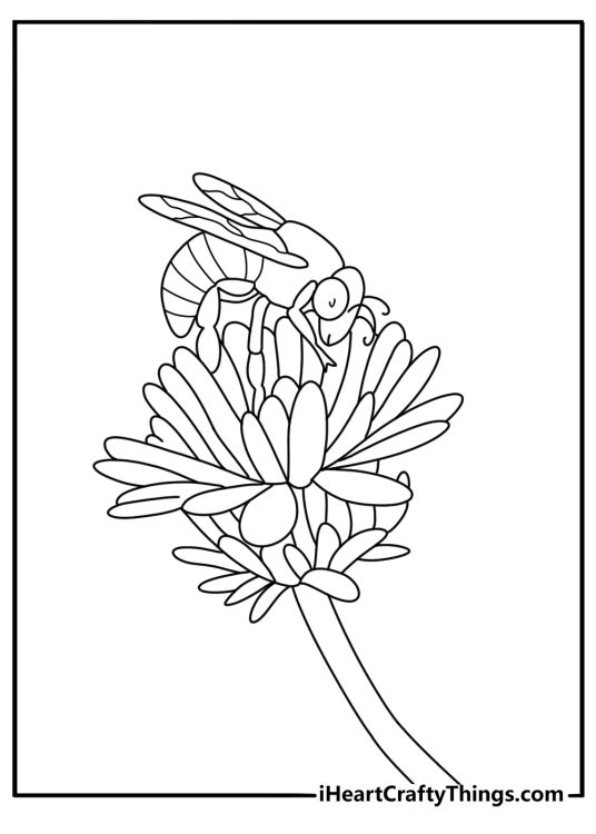 Realistic bee coloring pages scene of a bee covered in pollen on clover