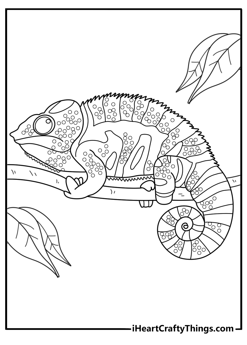 Realistic chameleon close view with curled tail detailed coloring sheet