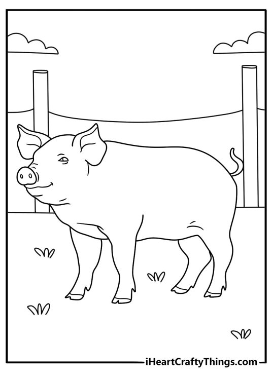 Realistic heritage breed pig standing in pasture printable coloring page