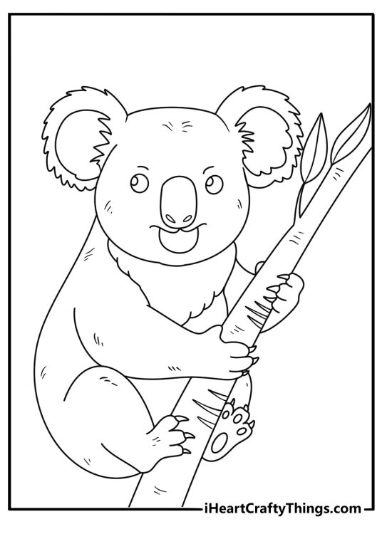 Realistic koala coloring sheet with koala scratching bark on tall eucalyptus trunk