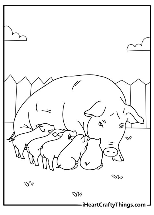 Realistic mother pig nursing piglets farm coloring sheet