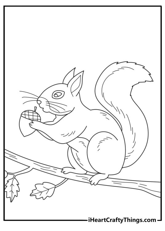 Red squirrel coloring page featuring tufted ears and a bushy tail in a forest