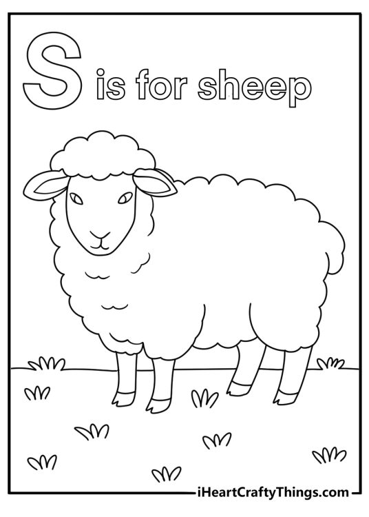 S is for sheep in grassy field simple coloring page for kids