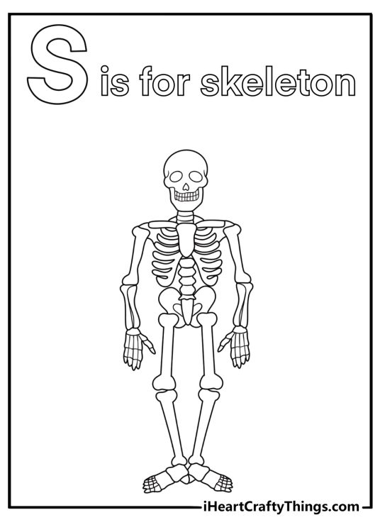 S is for skeleton anatomy themed coloring page for older kids
