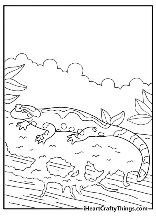 Salamander under damp log forest coloring printable