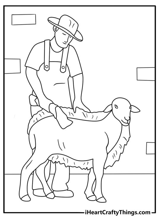 Sheep after shearing with bundle of wool nearby Farm Animal coloring page