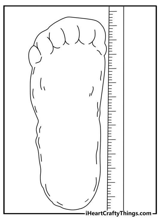 Simple Bigfoot coloring page pdf showing a giant footprint cast with ruler for scale