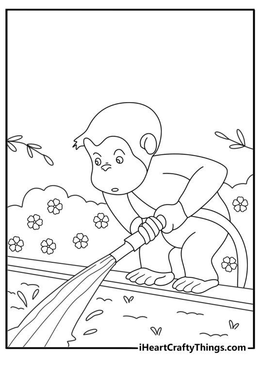 Simple Curious George coloring page with George watering a garden bed