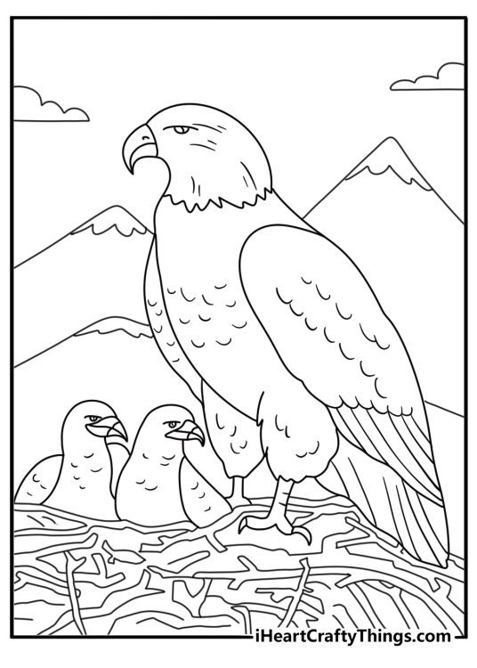 Simple bald eagle coloring page with an eagle standing near its nest