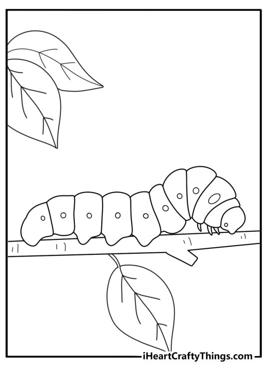 Simple coloring sheet of caterpillar inching along garden stem for kids