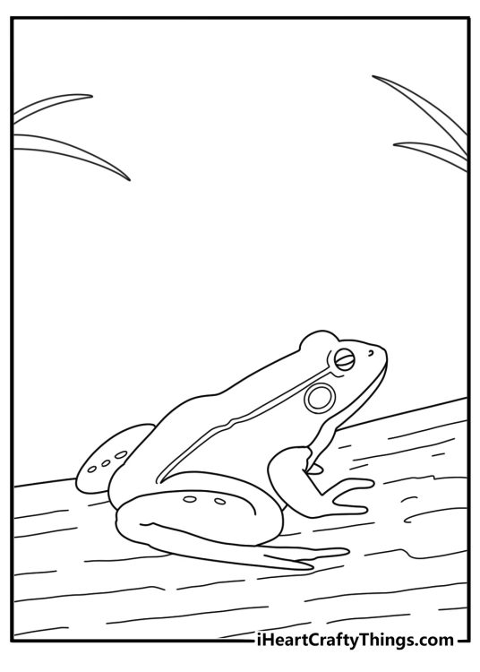 Simple frog coloring page with a frog near a log in the marsh