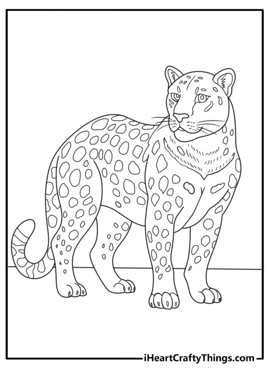Simple jaguar coloring page showing side profile with long tail
