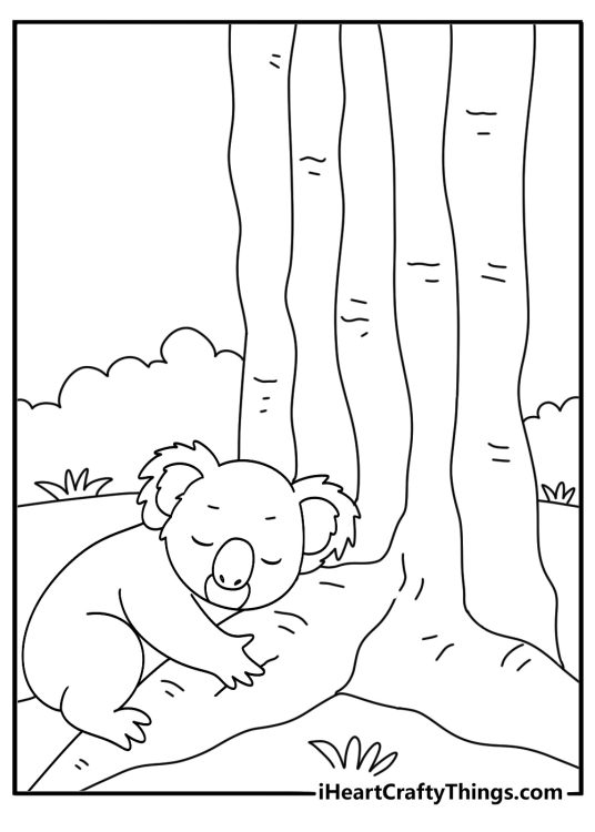Simple koala coloring sheet with koala resting beside large gum tree roots