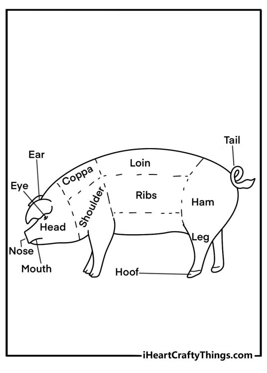 Simple pig outline side view educational coloring printable