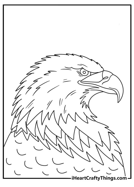 Simple printable bald eagle coloring sheet with an eagle feather and beak profile
