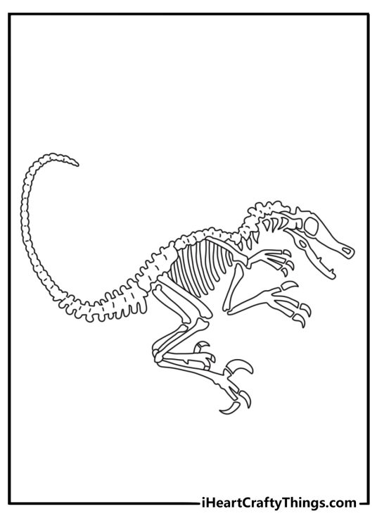 Simple velociraptor coloring sheet with a raptor skull and fossil bones