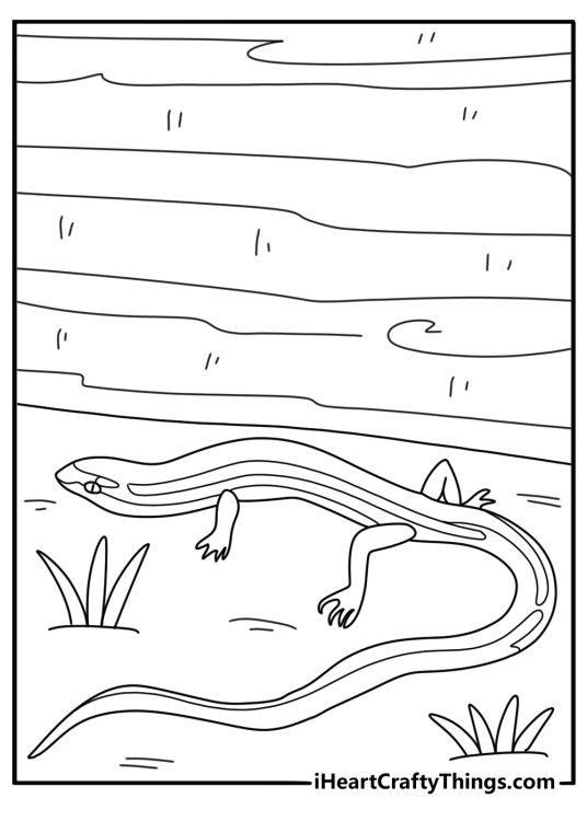 Skink hiding under fallen log easy coloring page for kids