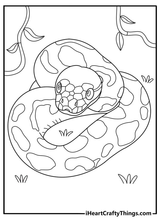 Snake coloring page showing a python resting near jungle vines