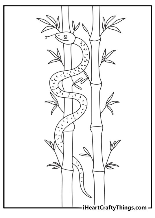 Snake coloring pages scene featuring a green snake on bamboo stems