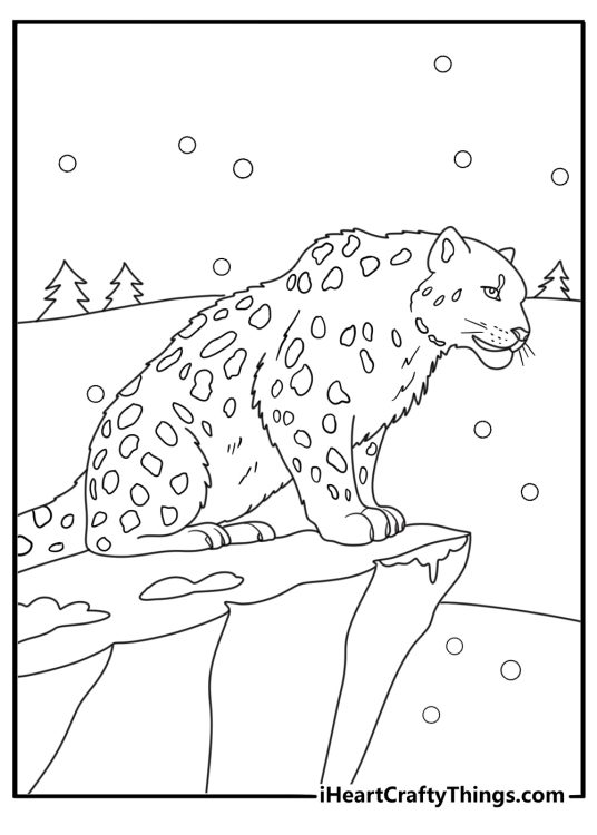 Snow leopard on mountain cliff winter scene detailed coloring sheet for adults