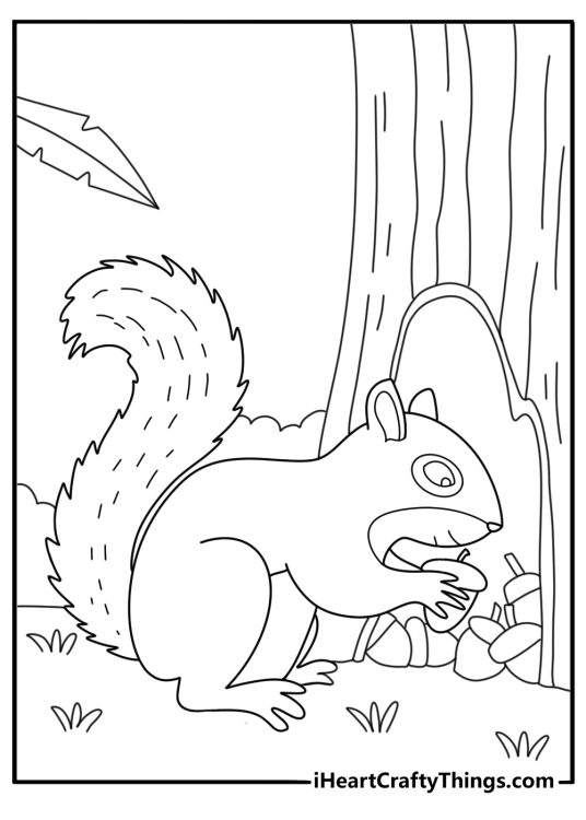 Squirrel coloring page pdf with a squirrel gathering walnuts into a hollow log
