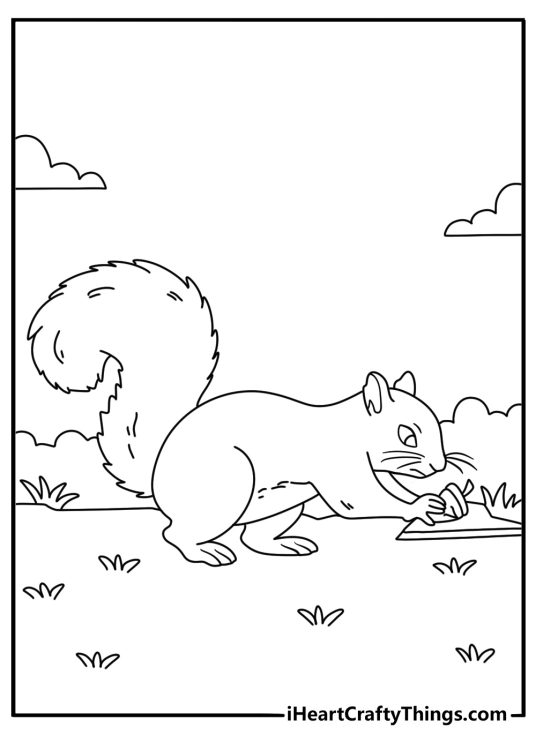 Squirrel coloring page with a squirrel cracking a nut on a flat rock