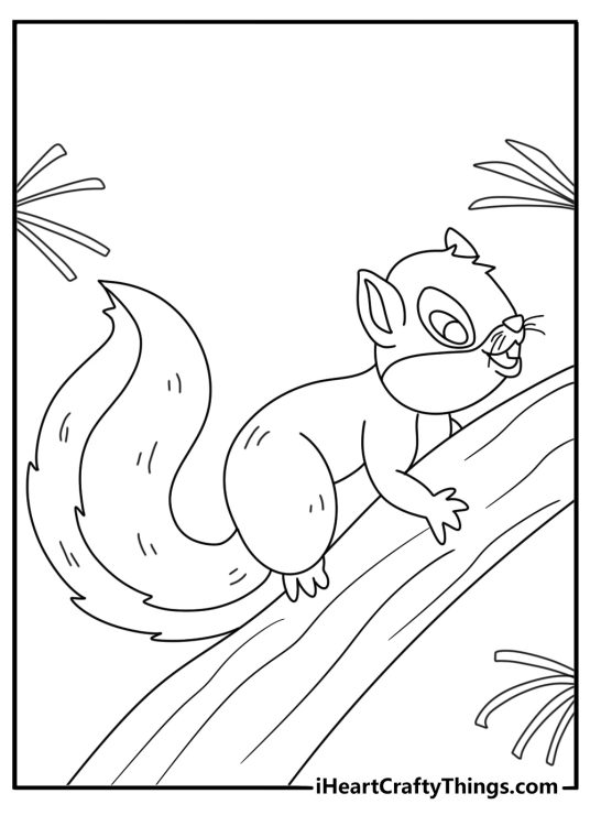 Squirrel coloring pages for adults with detailed fur and layered tree bark