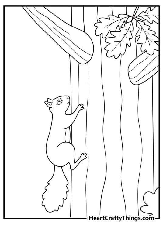 Squirrel coloring sheet showing a squirrel climbing up a tall oak trunk