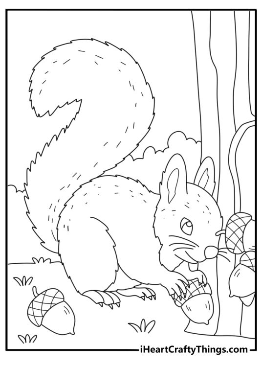 Squirrel with acorn coloring page storing food in tree hollow