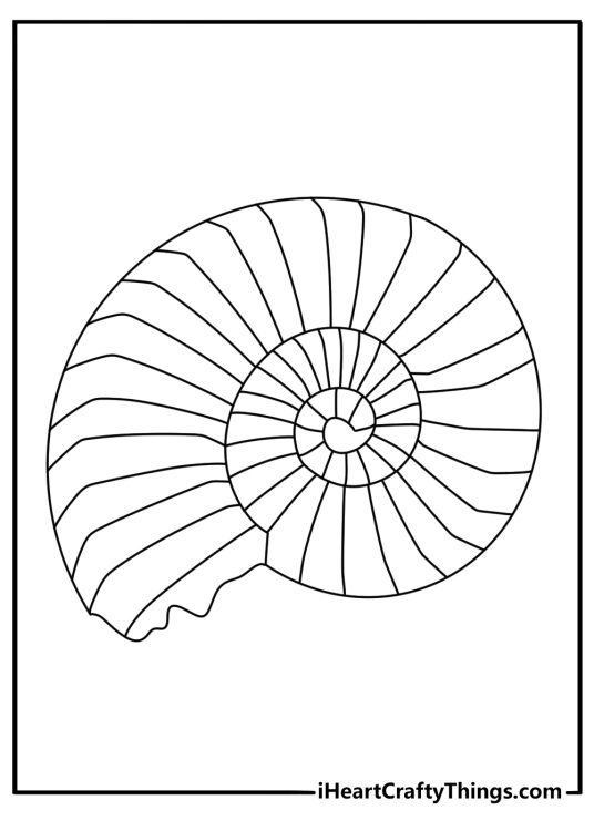 Stress relief coloring pages for adults free with spiral shells