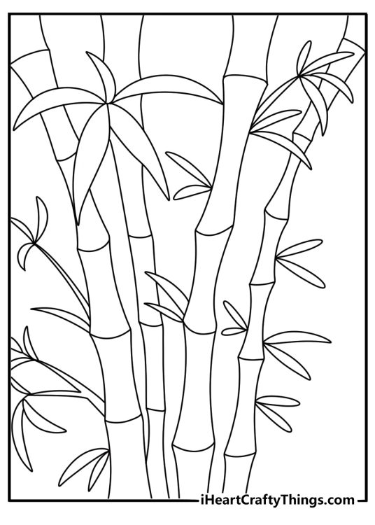 Stress relief coloring sheet with bamboo stems and simple leaves