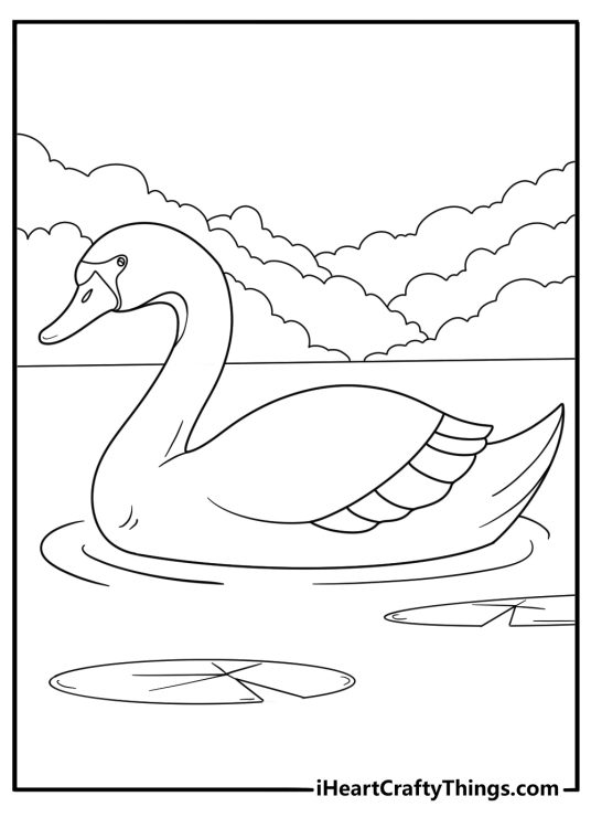 Swan gliding on calm pond with lily pads easy bird coloring page for kids printable