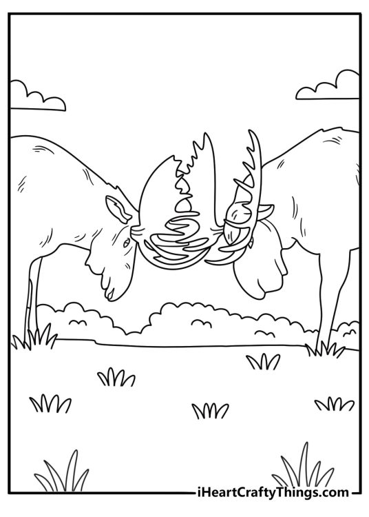 Two bull moose lock antlers during the autumn rut in this detailed coloring sheet