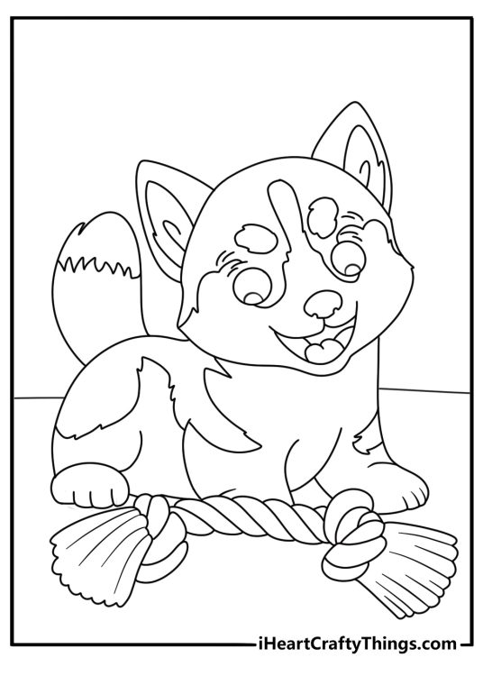 Two husky puppies play beside a rope toy in this cute printable