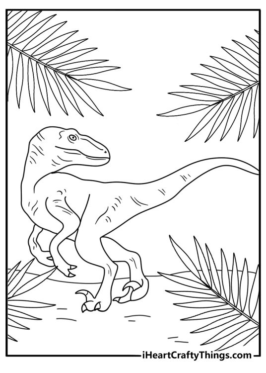 Velociraptor coloring page for kids with a raptor hiding behind palm leaves